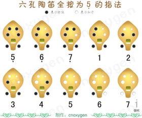 明星吹陶笛,悠扬旋律传千里